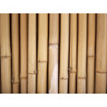 rollo de pantalla de bambú teja de bambú blanca para interior